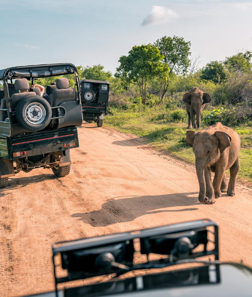 Game Reserves